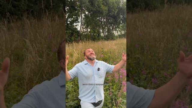 Бесплатно и полезно🙌 Заготавливаем натуральный, вкусный чай на зиму🎋
