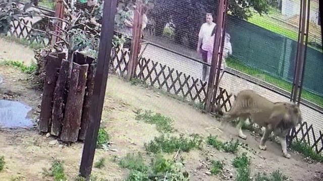 Девочка из сказки будь со мною рядом