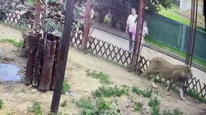 Девочка из сказки будь со мною рядом