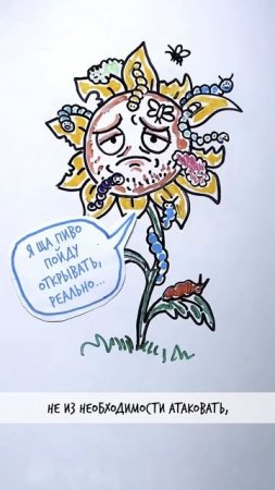 Как РАСТЕНИЕ может быть ХИЩНИКОМ? — Научпок #шортс