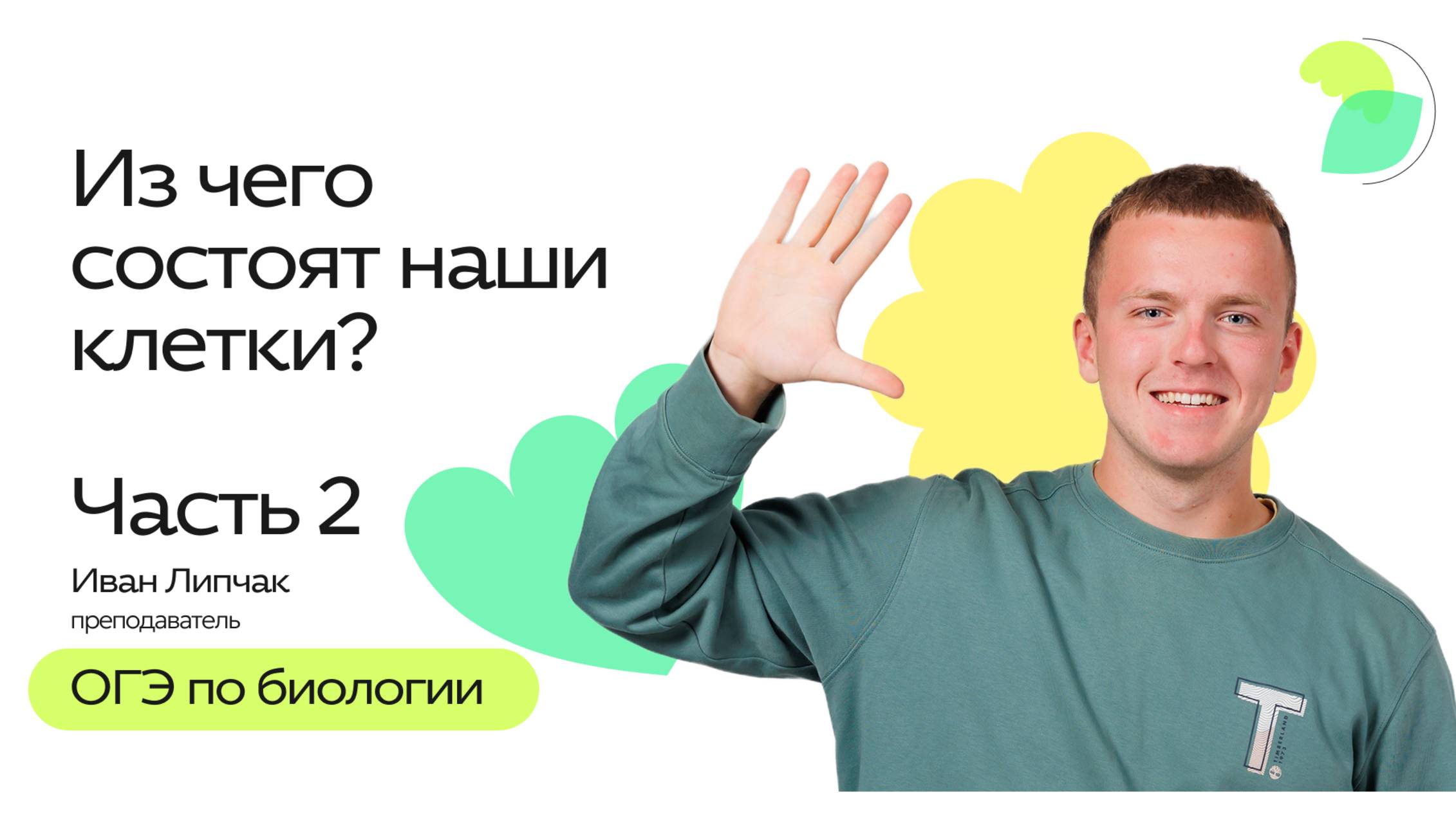 Из чего состоят наши клетки? Ч2 | ОГЭ 2026 по биологии смотреть онлайн