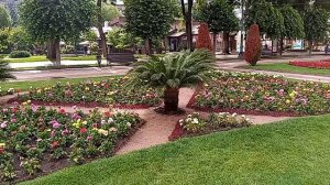 Кисловодск. Курортный бульвар. 29.06.2025 г.