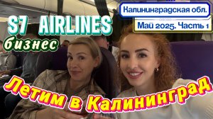 Домодедово и бизнес зал Радиус🤔Авиакомпания S7 и перелет БИЗНЕС классом из Москвы в Калининград ✈️