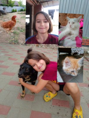 котопёс И лера