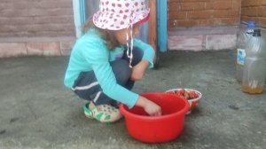 🍓🍓🍓🍓