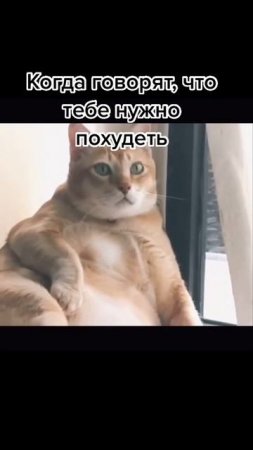 😁😁😁
Заходи в бота для похудения https://t.me/Istinacel_bot?start=vesref366901395