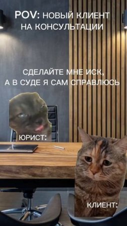 юрист - это...