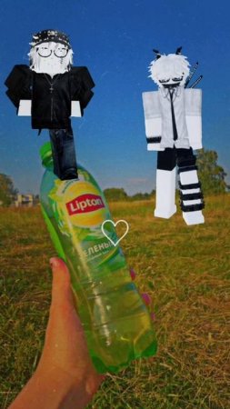 история☆•°☆•°