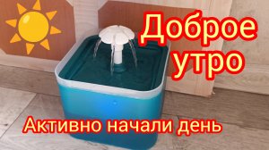 Утро доброе29-06-2025 #обзор #жизнь как есть #жизнь инвалида