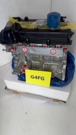 g4fg ml (2)