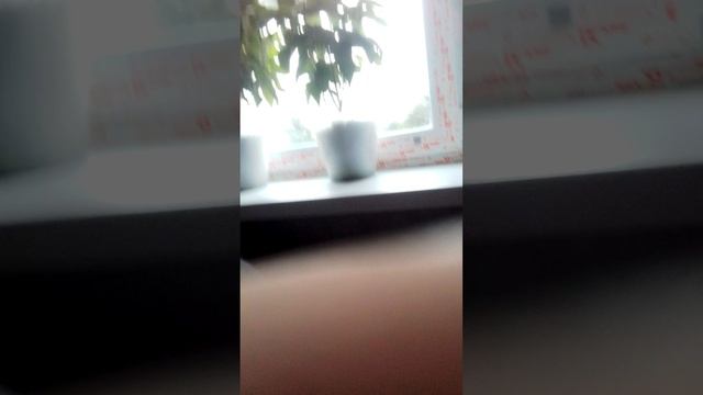 1000188389.mp4
