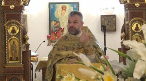 Проповедь настоятеля храма протоиерея Димитрия Синицына. 29 июня 2025 года