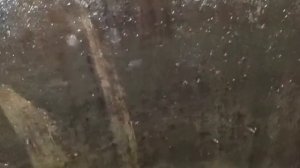 Ст. Солнышко . Старый колодец, после нас вода чистая. podkapaev.ru
