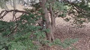 Зарисовки ноября из Южно-Сахалинска
