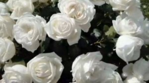 С ДНЁМ ОБЪЯТИЙ 💞💘💏! САМОЕ НЕЖНОЕ ПОЗДРАВЛЕНИЕ🎊🎉