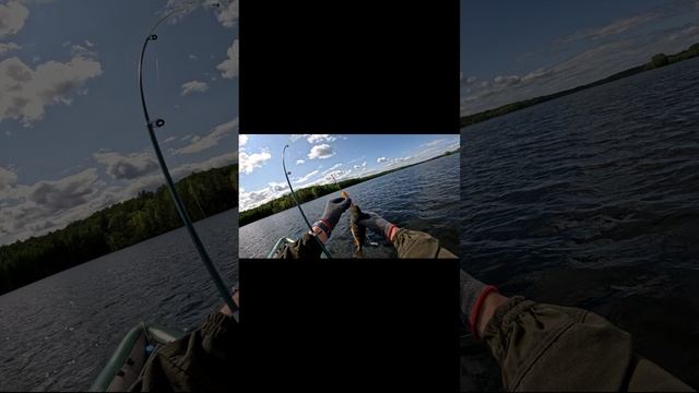 тур “Сквозь озёра, скалы и водопады”
3 дня на каяке в дикой Карелии смотреть онлайн