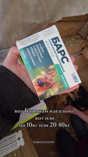 Клещи не дремлют, мы тоже