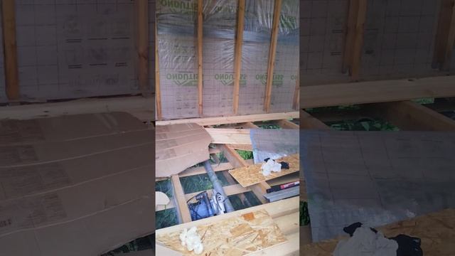 VID_20250629_085221.mp4