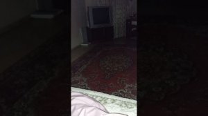 1000002886.mp4