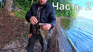 Рыбалка С Ночевкой На Волге. Открытие Сезона. Часть 2