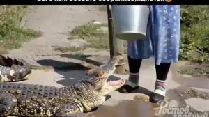 Как утёнок...☺️
