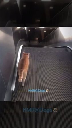 Путь в бесконечность😎😂