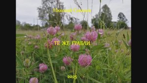 Стихотворение "Те же грабли"