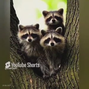 VID_20250629132253