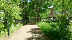 Представим, что здесь тропики