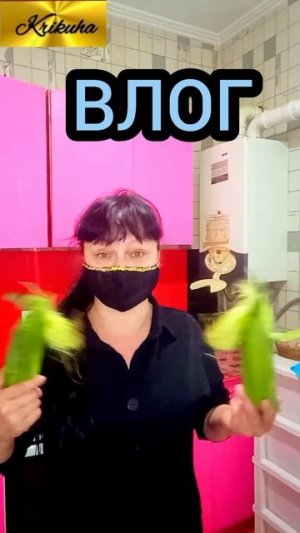 ВЛОГ