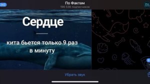 Невероятные факты которые взорвут твой_мозг 8! ФактоМан