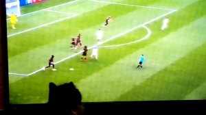 Котенок Барсик смотрит футбол 🐱⚽️