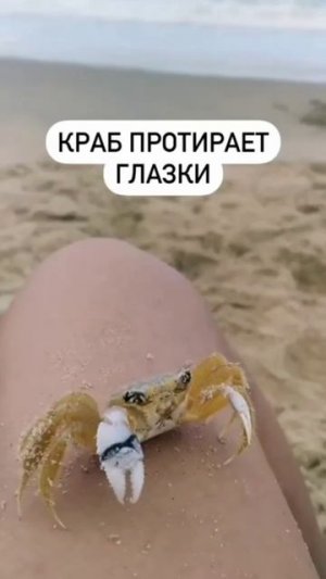 как мило