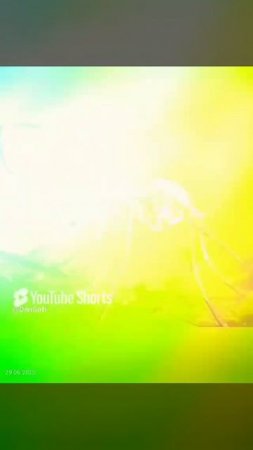 VID_20250629132358