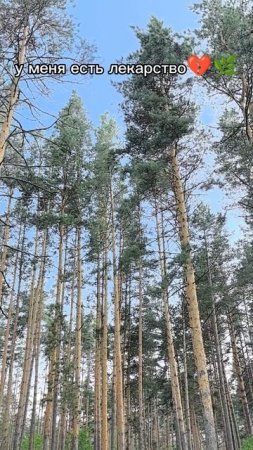 Как не выгореть в городе