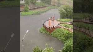 🌧️Около половины от месячной нормы осадков выпадет в Москве за следующую неделю🌧️