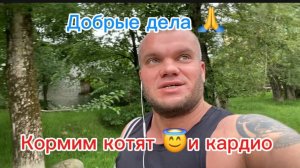 подготовка с тренером день 37