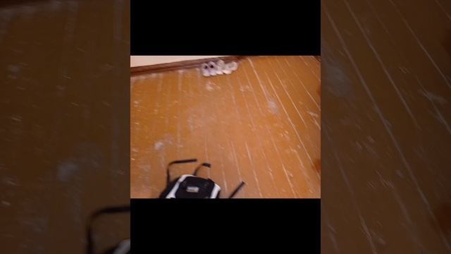 ʙоᴧᴦ из ᴧᴀᴦᴇᴩя