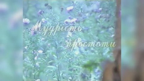 МУДРОСТЬ ПРОСТОТЫ