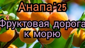 #АНАПА #ФРУКТЫ НА УЛИЦАХ АНАПЫ29-06-2025