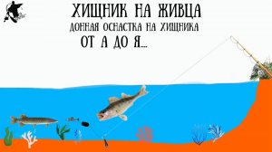 Хищник щука,судак и т.д...на живца.Живцовая донка.Уловистый монтаж для ловли с берега на живца🔥🎣