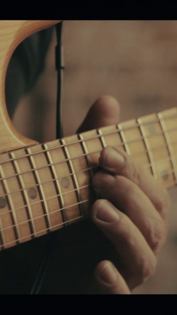 Lone Wolf Solo #shorts смотреть онлайн