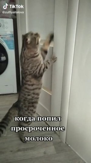 1000038660.mp4