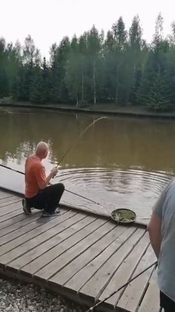 КРХ ТРИФОН