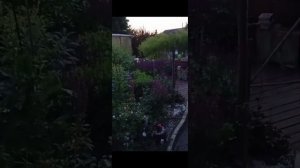 Добрый вечер