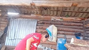 подготовка к зиме/ тату/ пошли кабачки/ огород порос травой