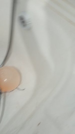 VID_20250629_071616.mp4