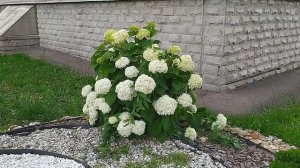 город уфа новости спорт природа музыка 2025