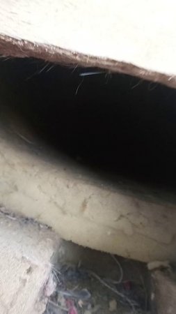 Кошкин дом