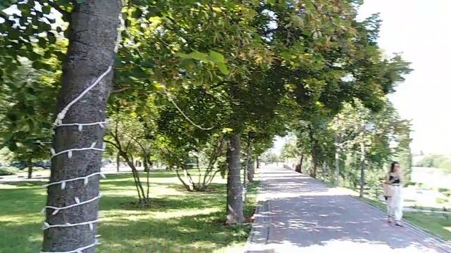 Тамбовщина смотреть онлайн